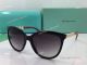 AAA Replica TF Brown Sunglasses - Fashion Sunglasses for Ladies (4)_th.jpg